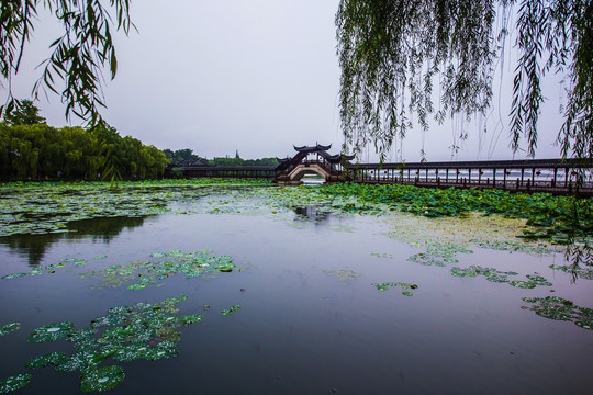 锦溪古镇荷塘风雨长廊