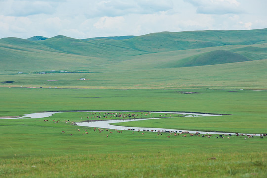 草原牧场河流马群牛群