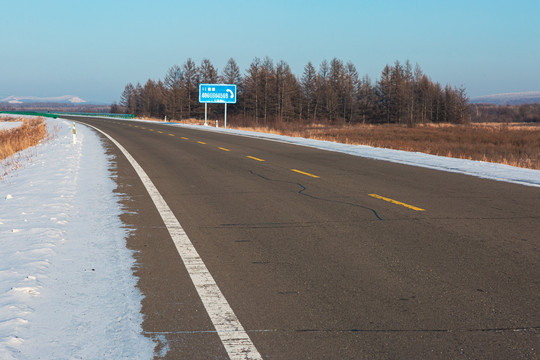 冬季公路树林