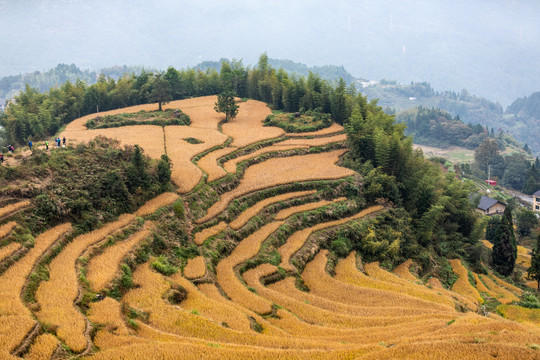 云和梯田