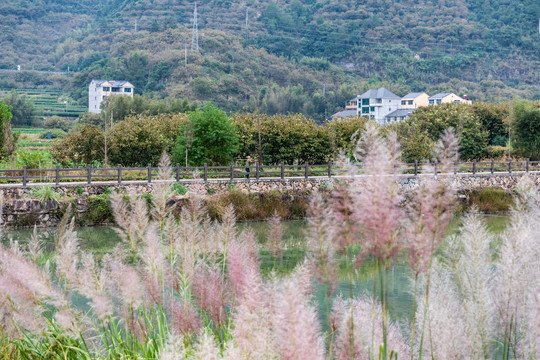 云和小顺村