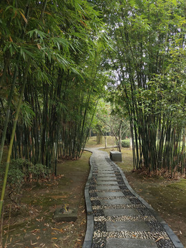 健康步道