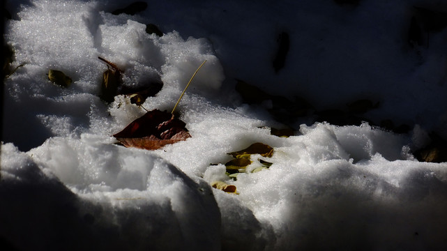 雪