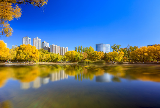 呼和浩特青城公园秋景