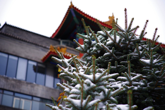 2021年冬北京初雪