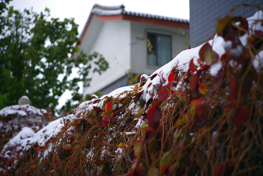 2021年冬北京初雪