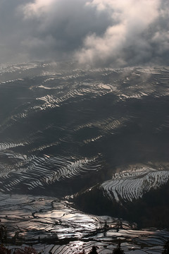 元阳梯田