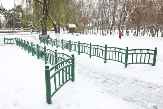 雪景