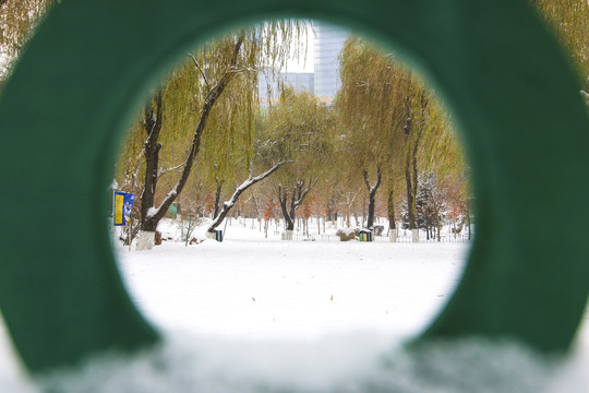 雪景