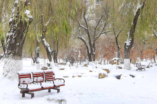 雪景