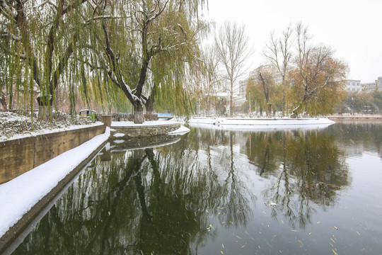 雪景