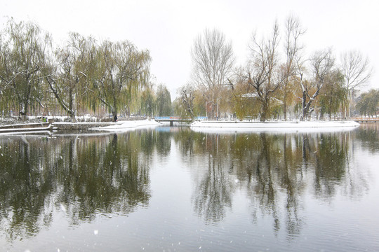 雪景