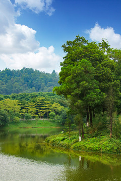 大夫山湖景