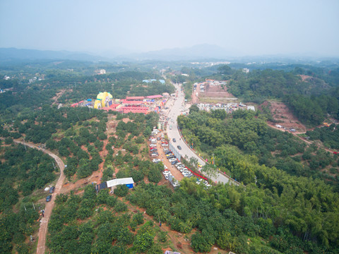 容县沙田柚王国景区