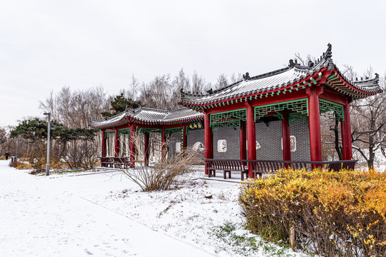 中国长春南湖公园冬季风景