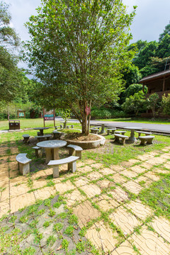 桂平龙潭国家森林公园石桌凳