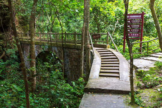 桂平龙潭国家森林公园石桥