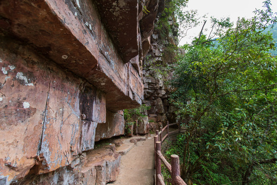 桂平龙潭国家森林公园游览步道