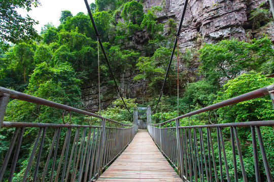 桂平龙潭国家森林公园吊桥