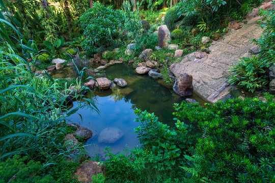 南宁青秀山风景区园林景观