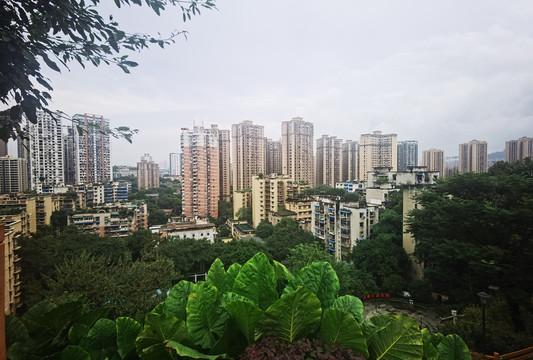 城市