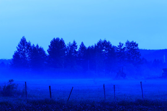 树林夜雾迷漫