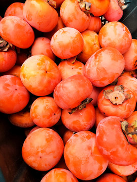 红红的柿子熟柿子