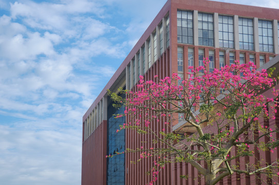 珠海科技学院图书馆大楼