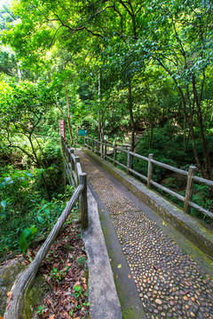 桂平龙潭国家森林公园石桥