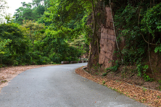 桂平龙潭国家森林公园盘山公路