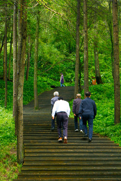 青城后山风景区