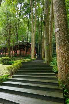 青城后山风景区