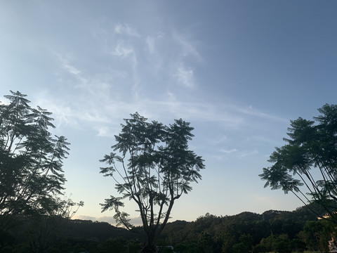 山林