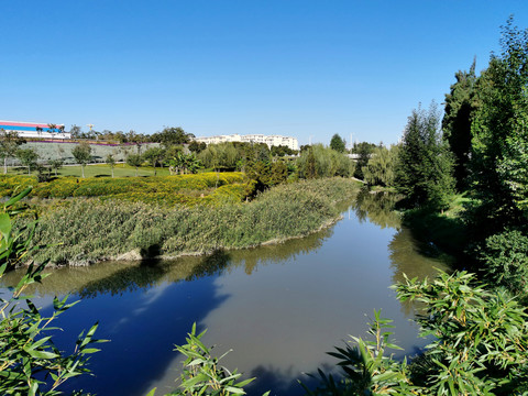 河道景观绿化景观