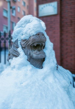 雪后的雄狮