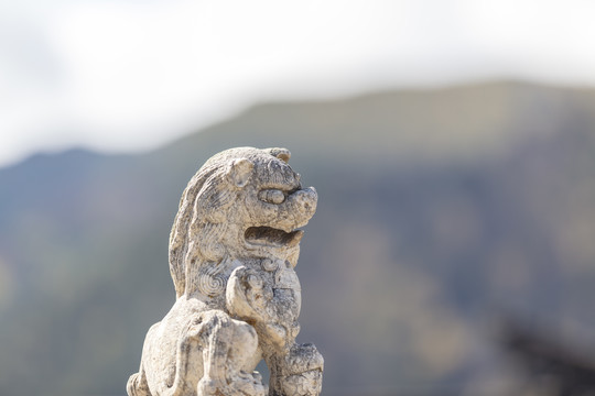 五台山佑国寺石雕狮子