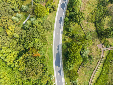 航拍森林高速公路