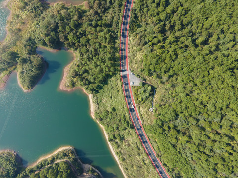 航拍森林盘山公路