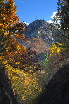 莱州大基山森林公园