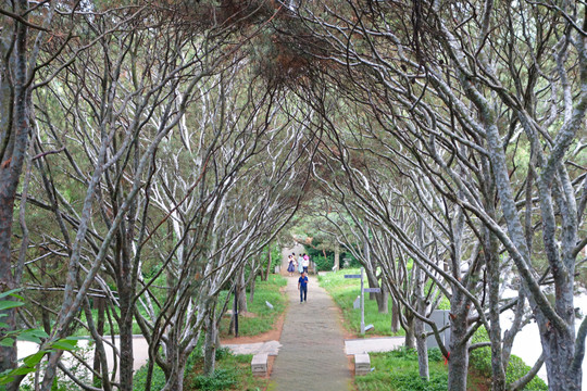 北戴河联峰山观音寺园林风光