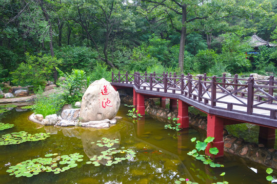 北戴河联峰山莲池风景