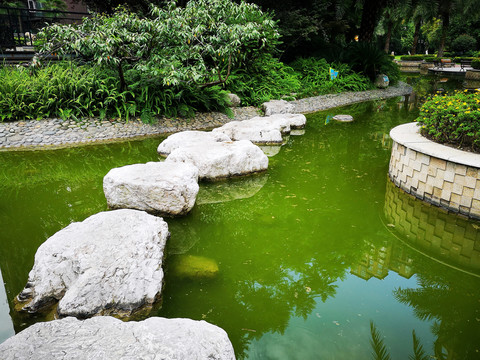 小区水景