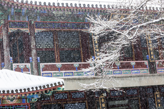 颐和园雪景