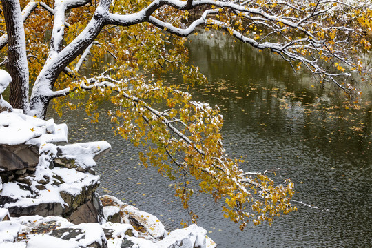 颐和园雪景