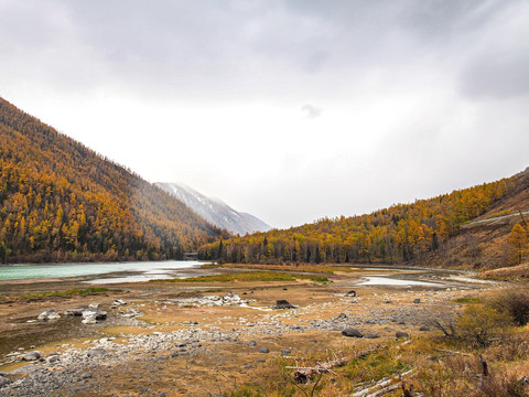 喀纳斯风景区