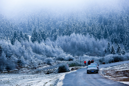 仙女山雪景