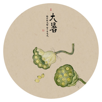 24节气大暑水墨莲蓬插画装饰画