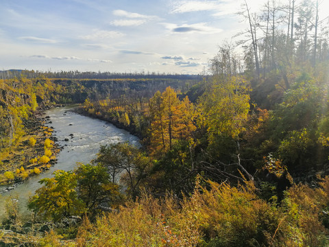 秋季多彩森林河流峡谷