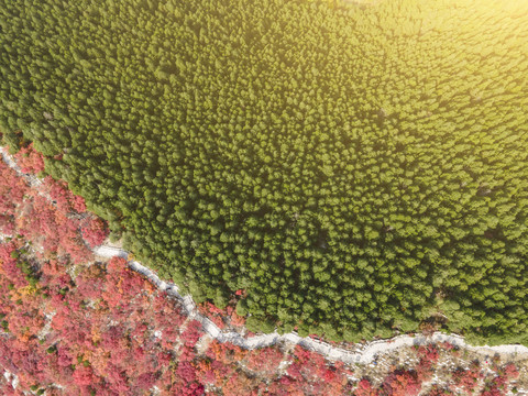 航拍济南蝎子山园林风景