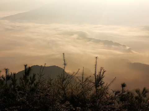 云海日出